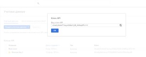 Получение Google+ API Key для плагина на WordPress. Drogin.ru